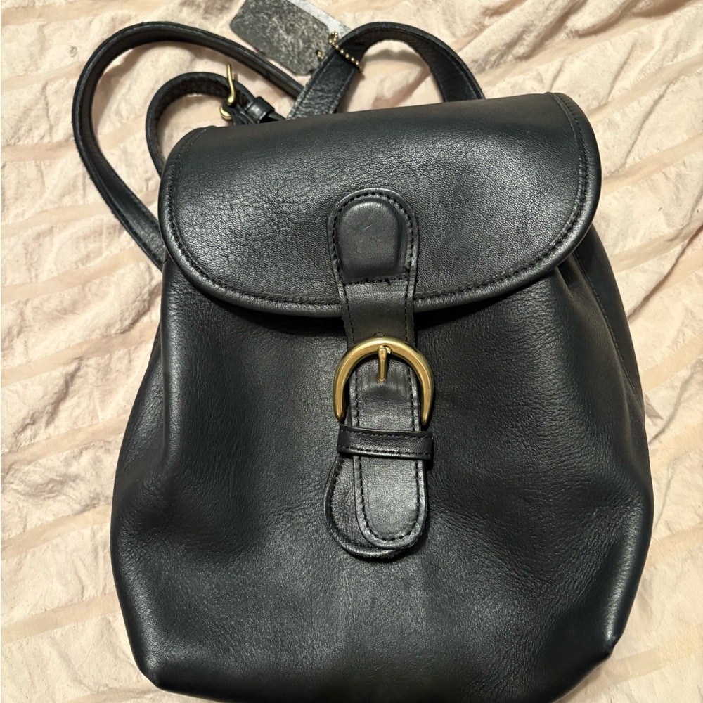 Coach Mini 4152